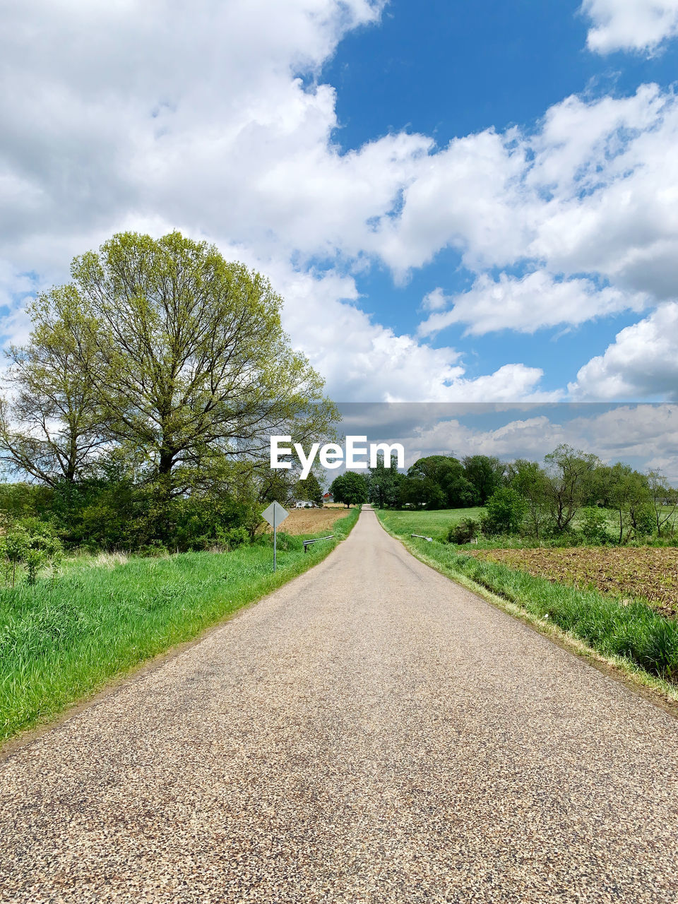 sky, cloud, road, plant, the way forward, landscape, tree, grass, environment, field, nature, transportation, diminishing perspective, rural area, vanishing point, land, scenics - nature, beauty in nature, no people, horizon, infrastructure, rural scene, soil, non-urban scene, tranquility, outdoors, asphalt, hill, green, travel, dirt road, footpath, dirt, day, street, tranquil scene, blue, road surface, country road, cloudscape, single lane road, travel destinations, agriculture, plain