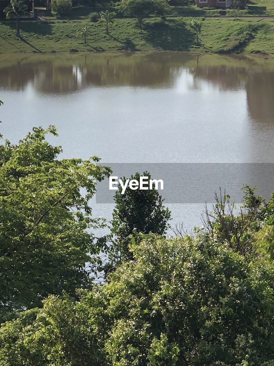 SCENIC VIEW OF LAKE WITH TREES IN FOREST