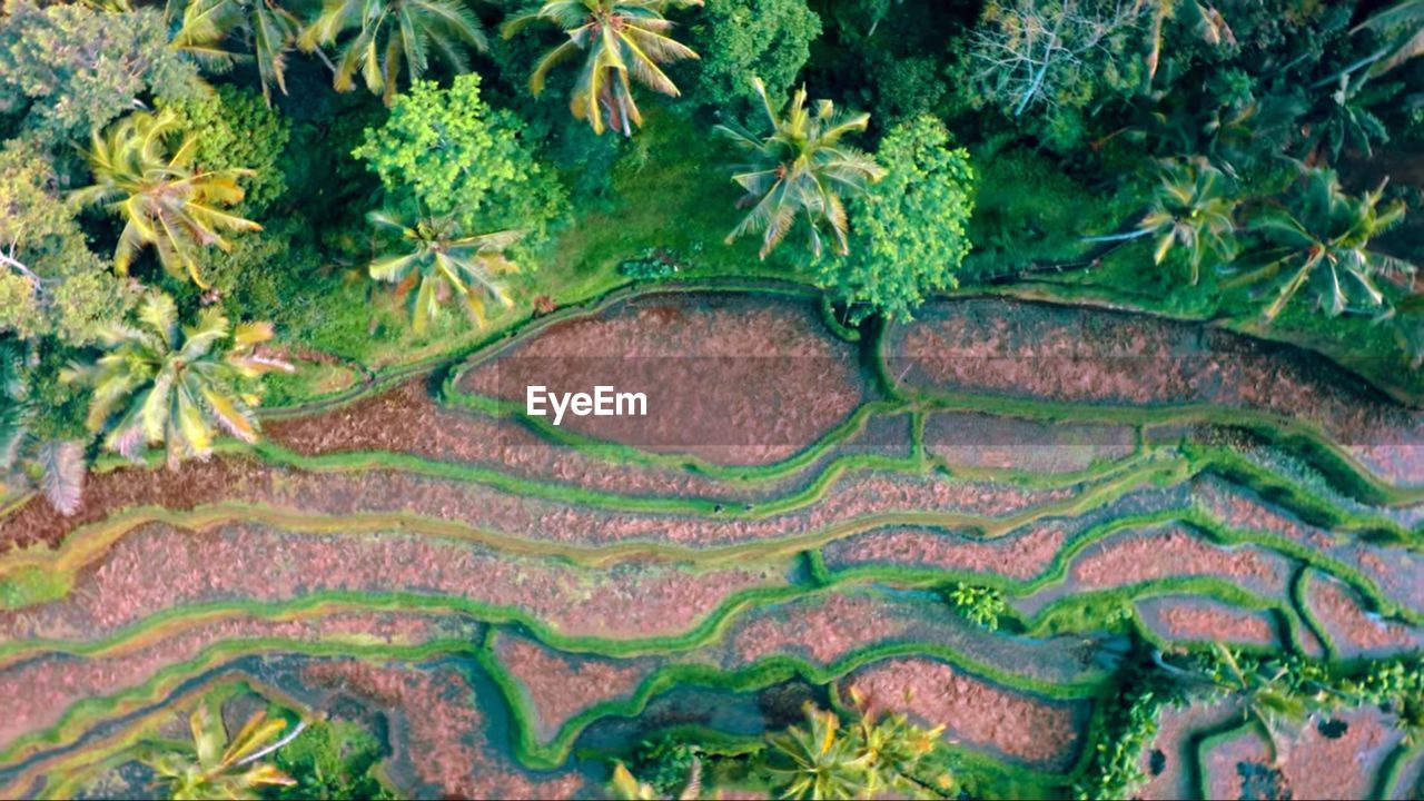 Goa sarang sabang axeh