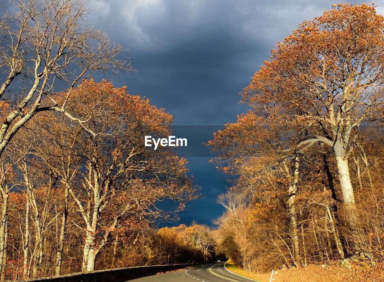 Low angle view of bare trees against sky during autumn