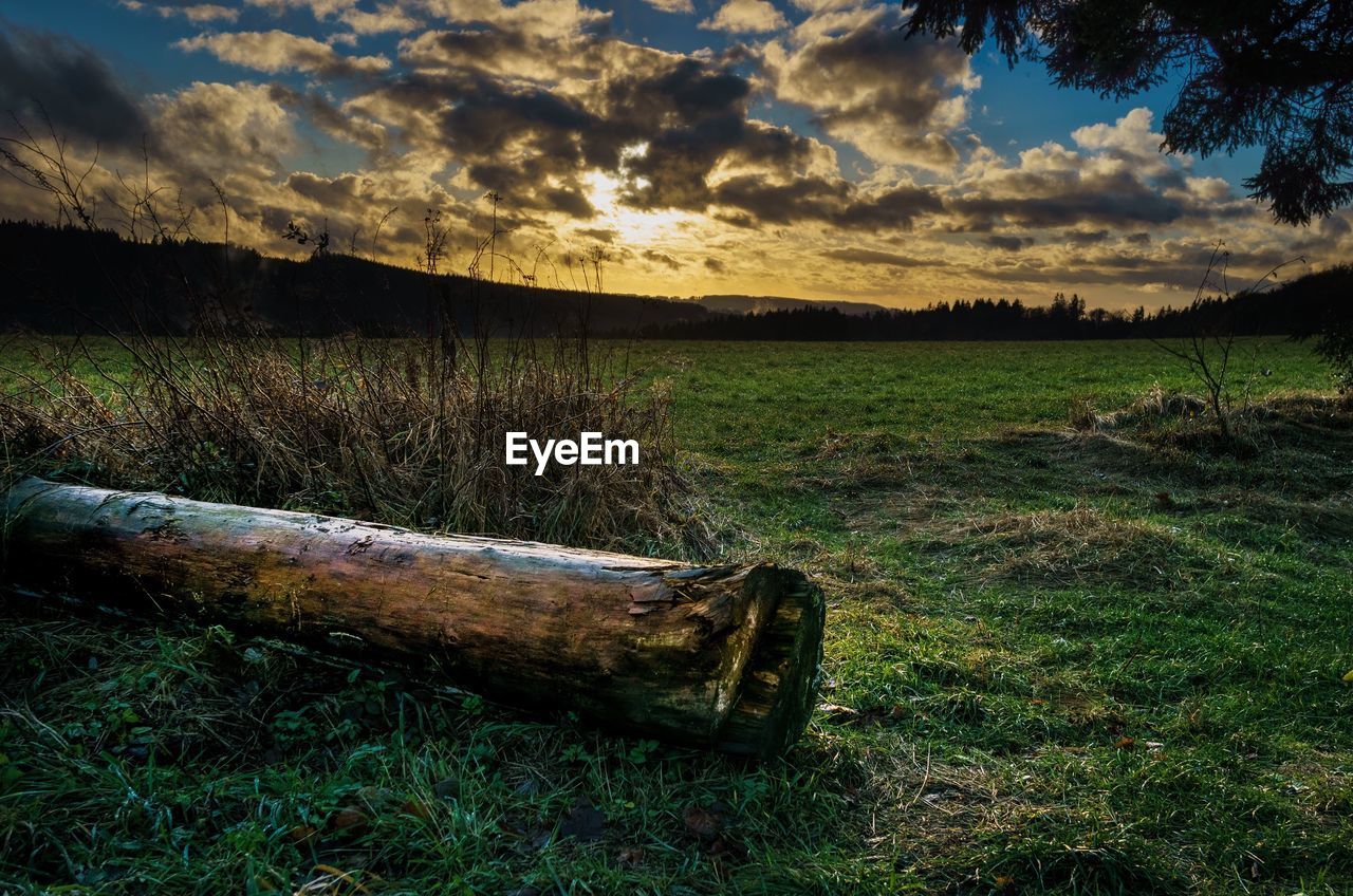 SCENIC VIEW OF FIELD BY LAKE AGAINST SKY