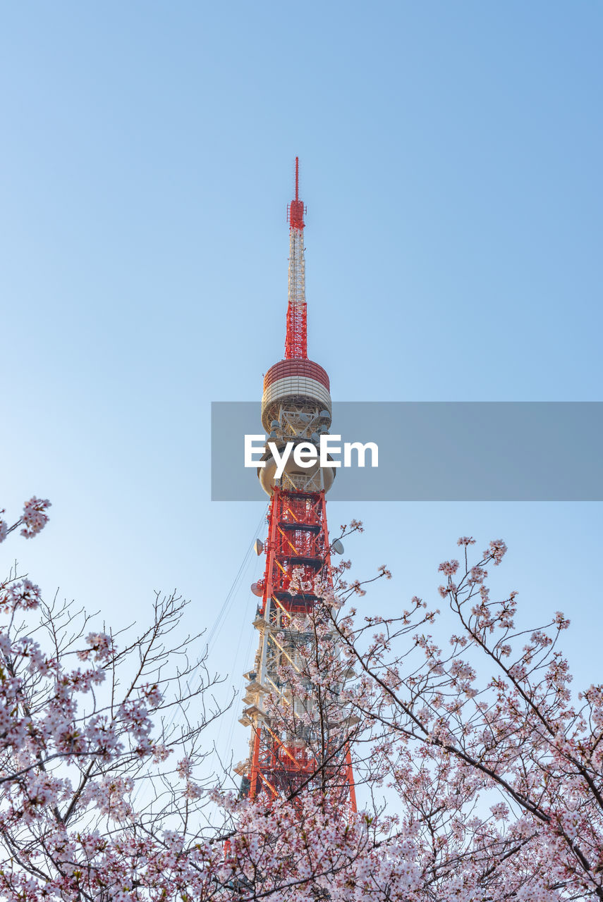 Low angle view of tokyo tower against clear blue sky during sunny day