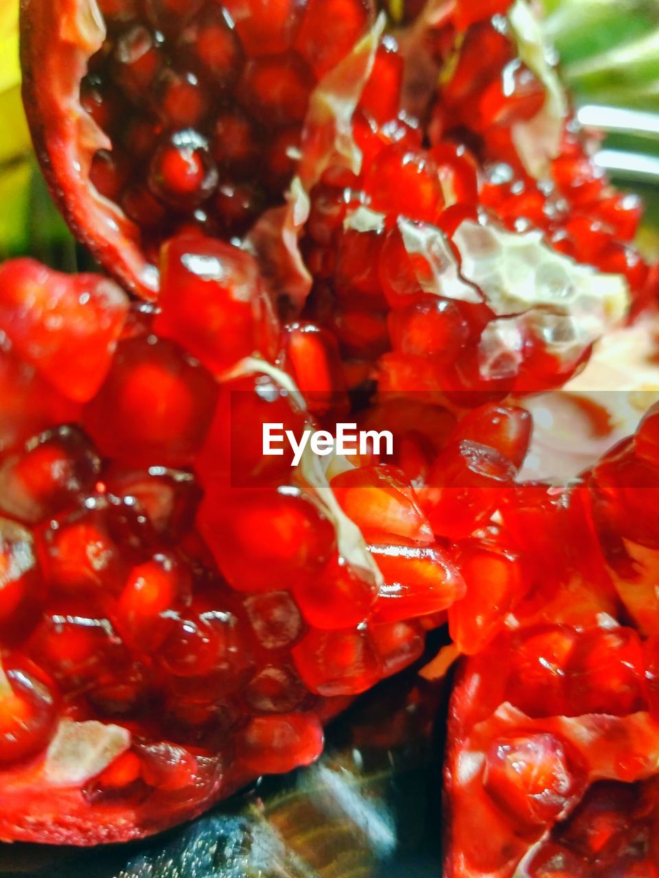 CLOSE-UP OF RED BERRIES