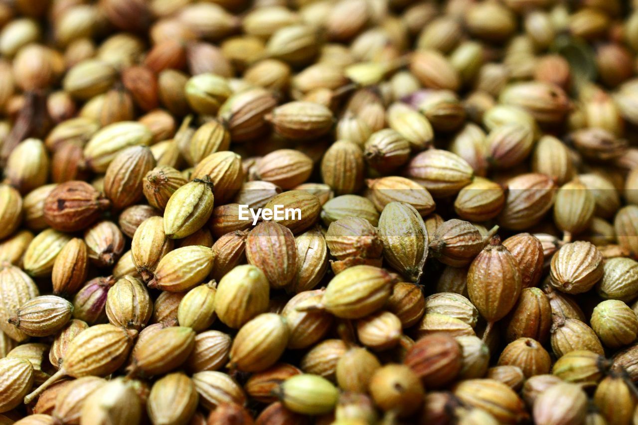 Full frame shot of coriander seeds