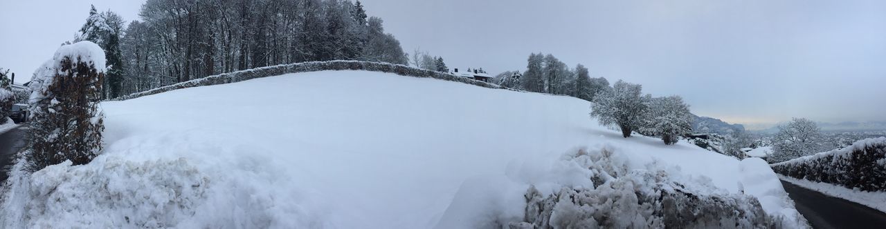 PANORAMIC VIEW OF SNOW COVERED TREES AGAINST SKY