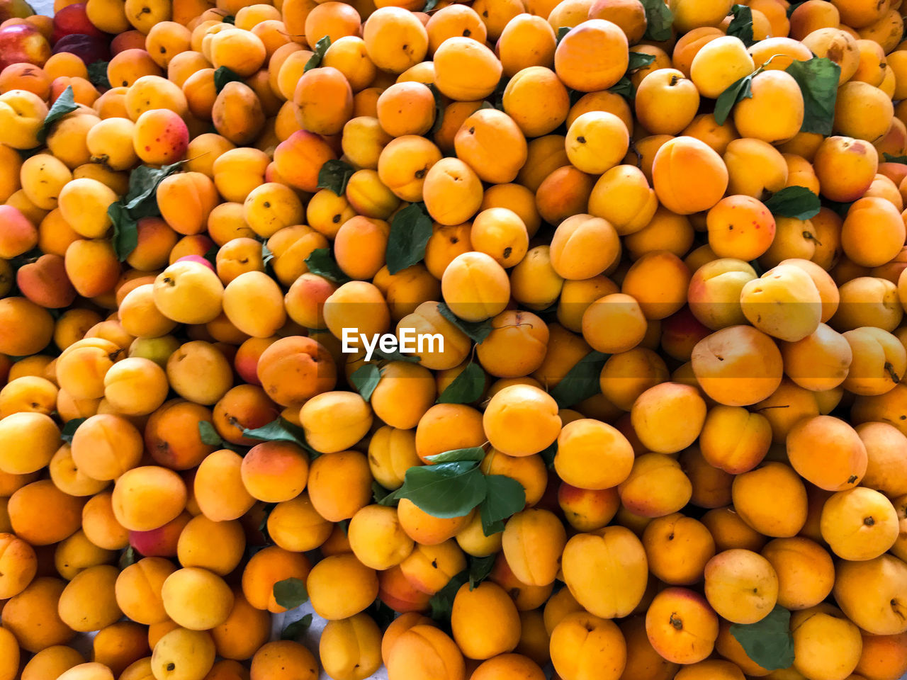 FULL FRAME SHOT OF ORANGES