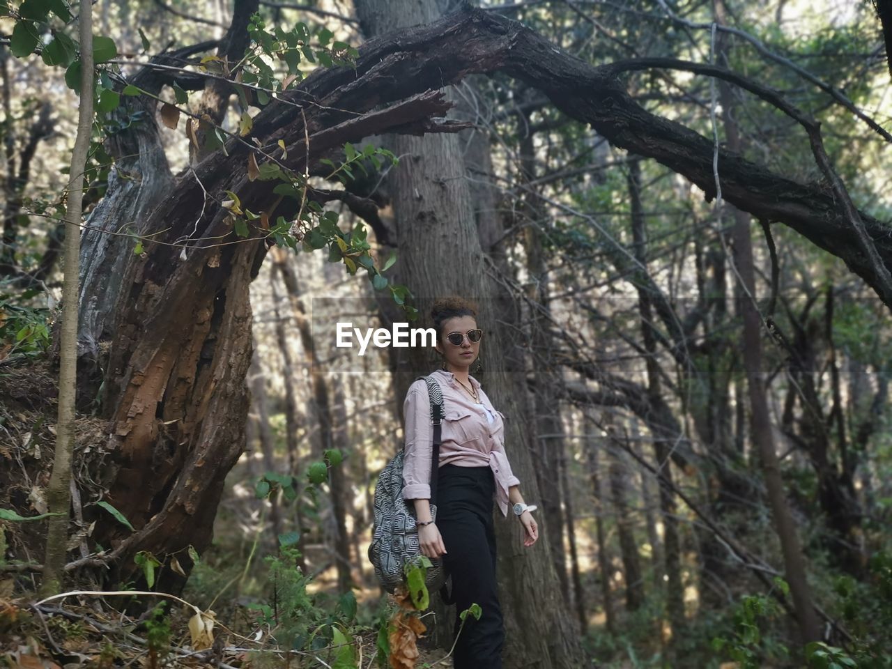 Low angle view of woman wearing sunglasses standing in forest