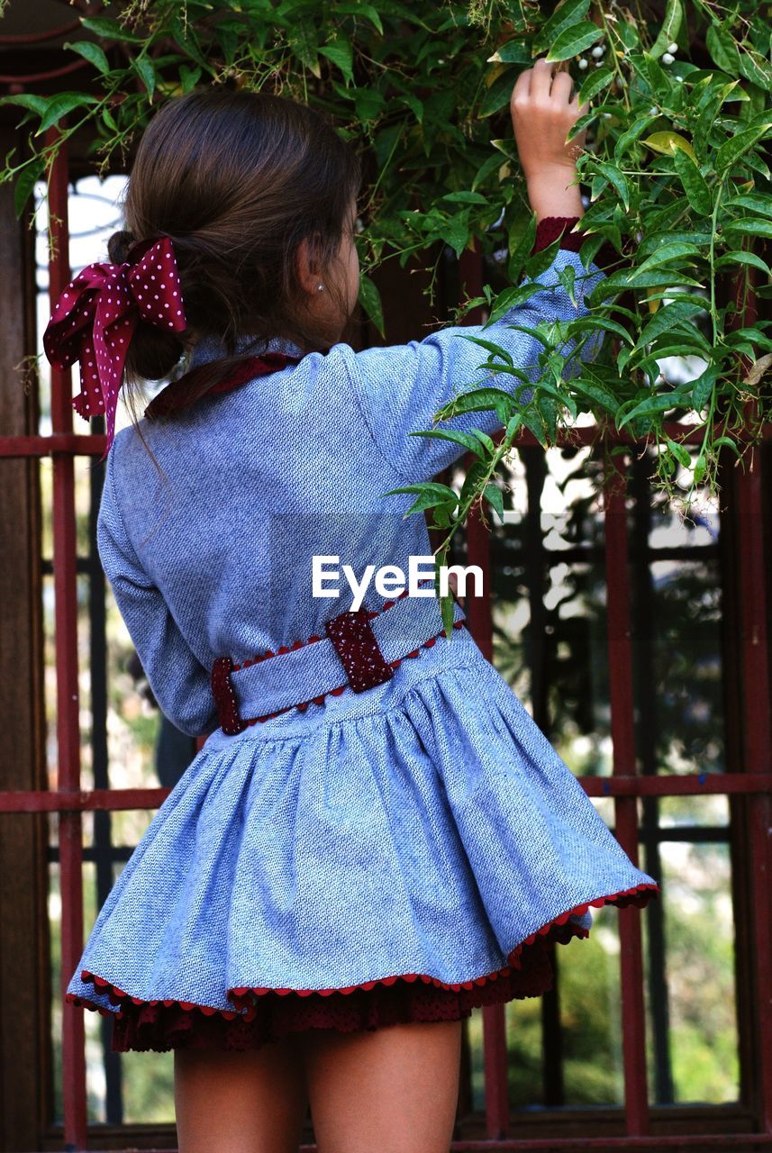 Rear view of girl touching tree