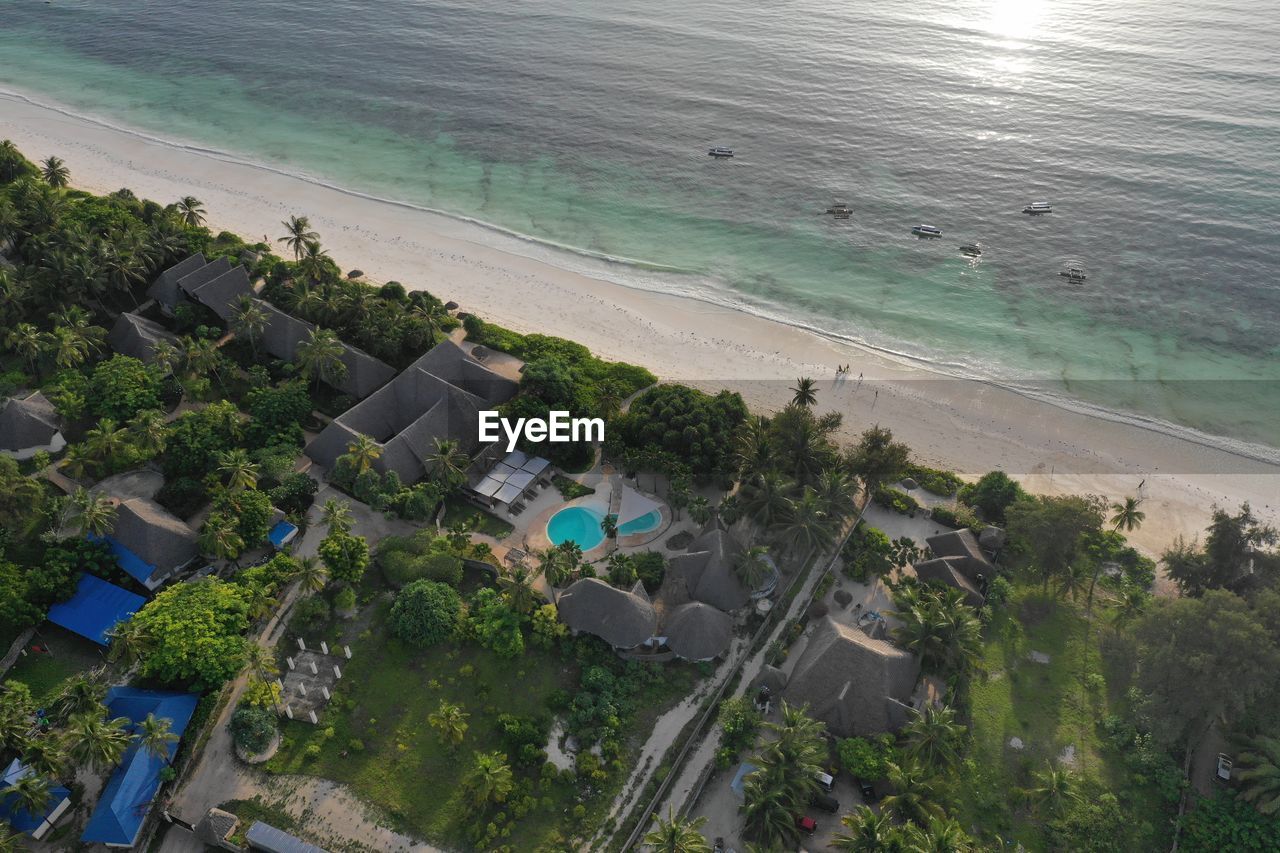 HIGH ANGLE VIEW OF TREES BY SEA AGAINST BUILDINGS