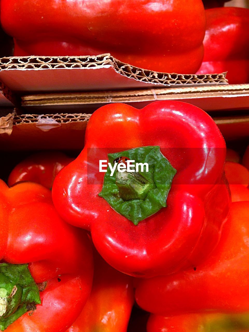 High angle view of red bell peppers in box