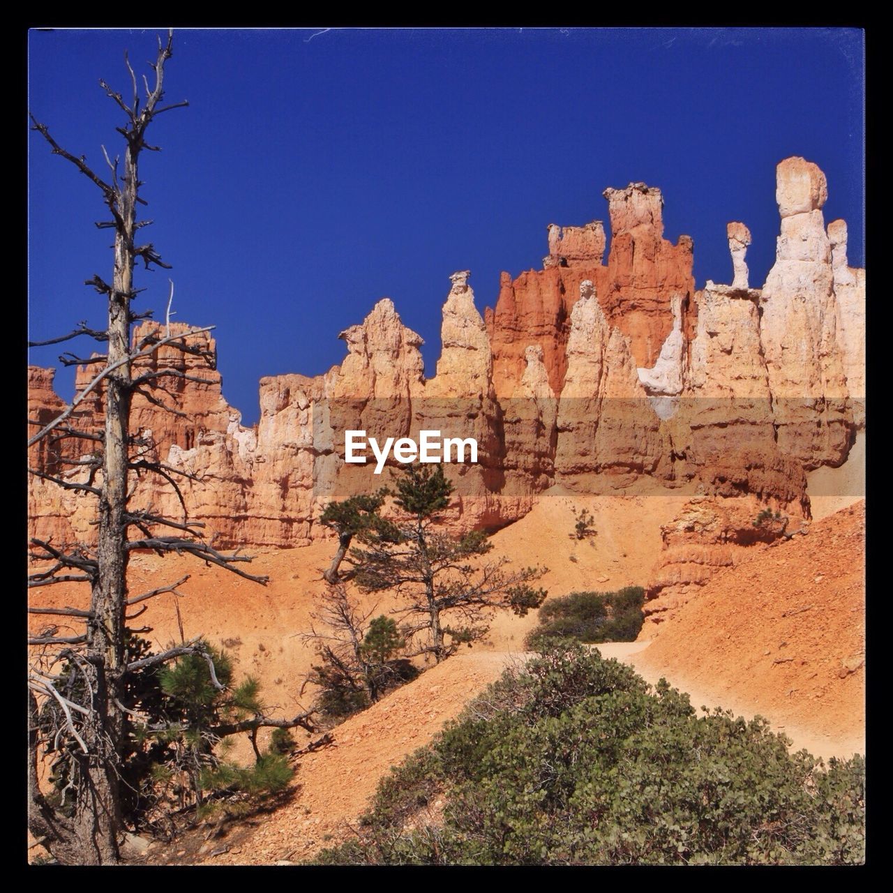 Bryce canyon national park against clear blue sky
