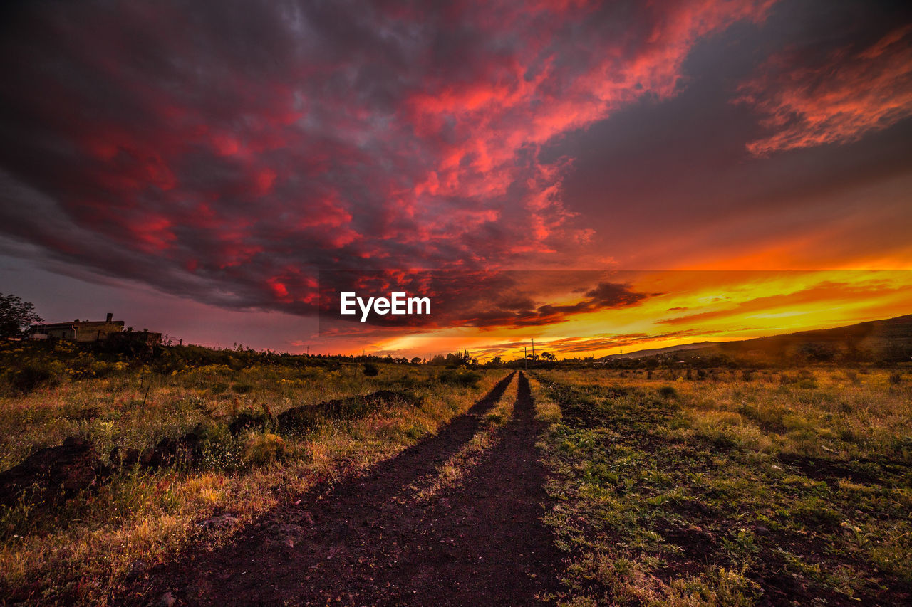 Scenic view of field against sky during sunset