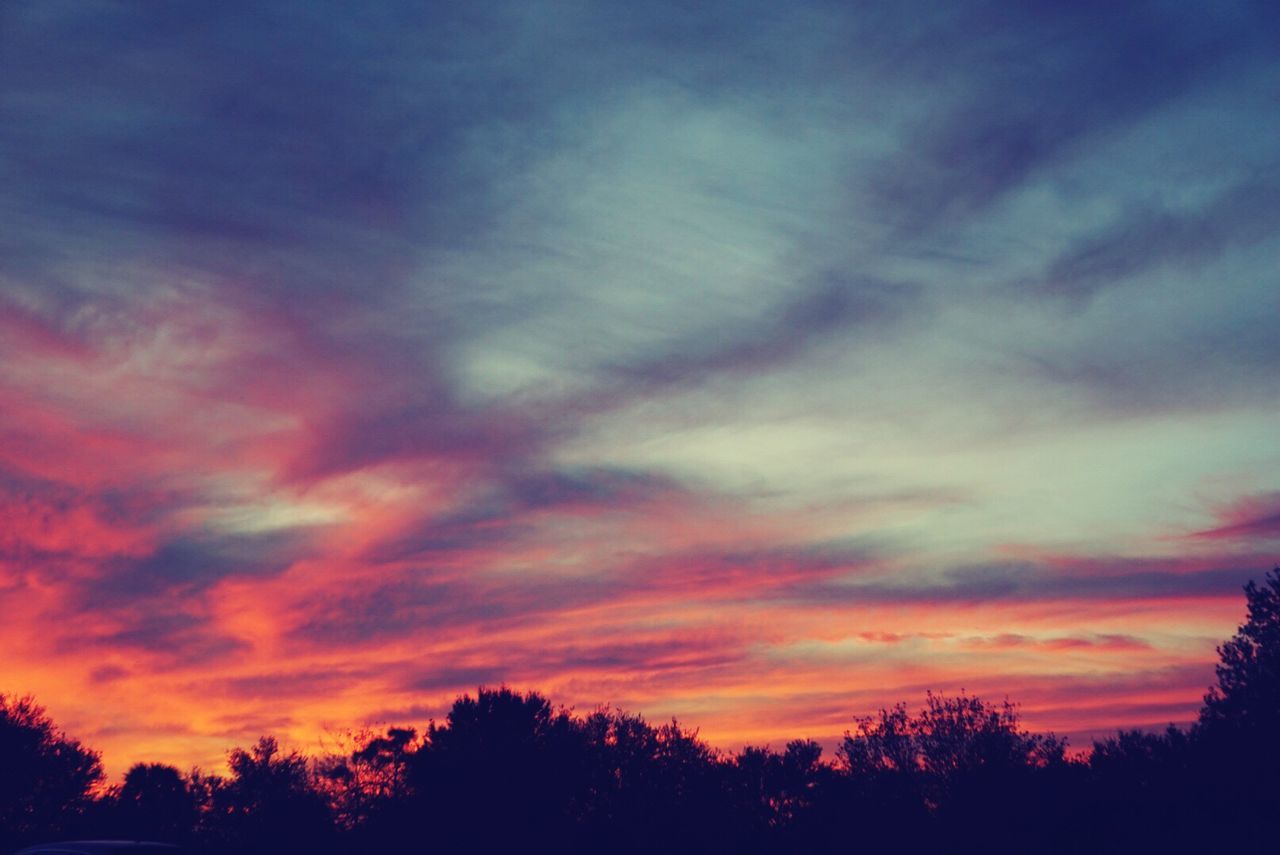 SILHOUETTE OF TREES AGAINST SUNSET SKY