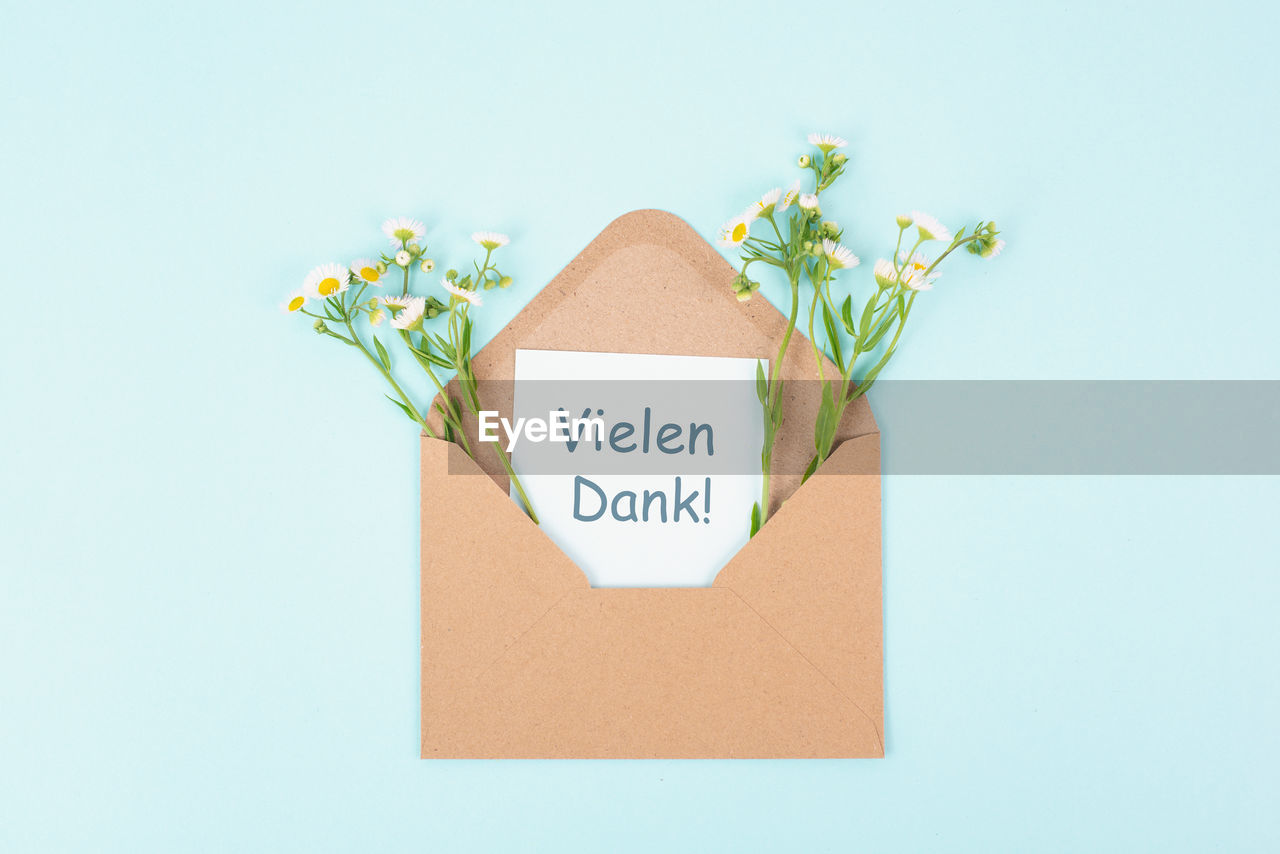 text, communication, studio shot, western script, plant, no people, flower, paper, copy space, indoors, nature, flowering plant, blue, gift, message, cardboard, letter, label, sign