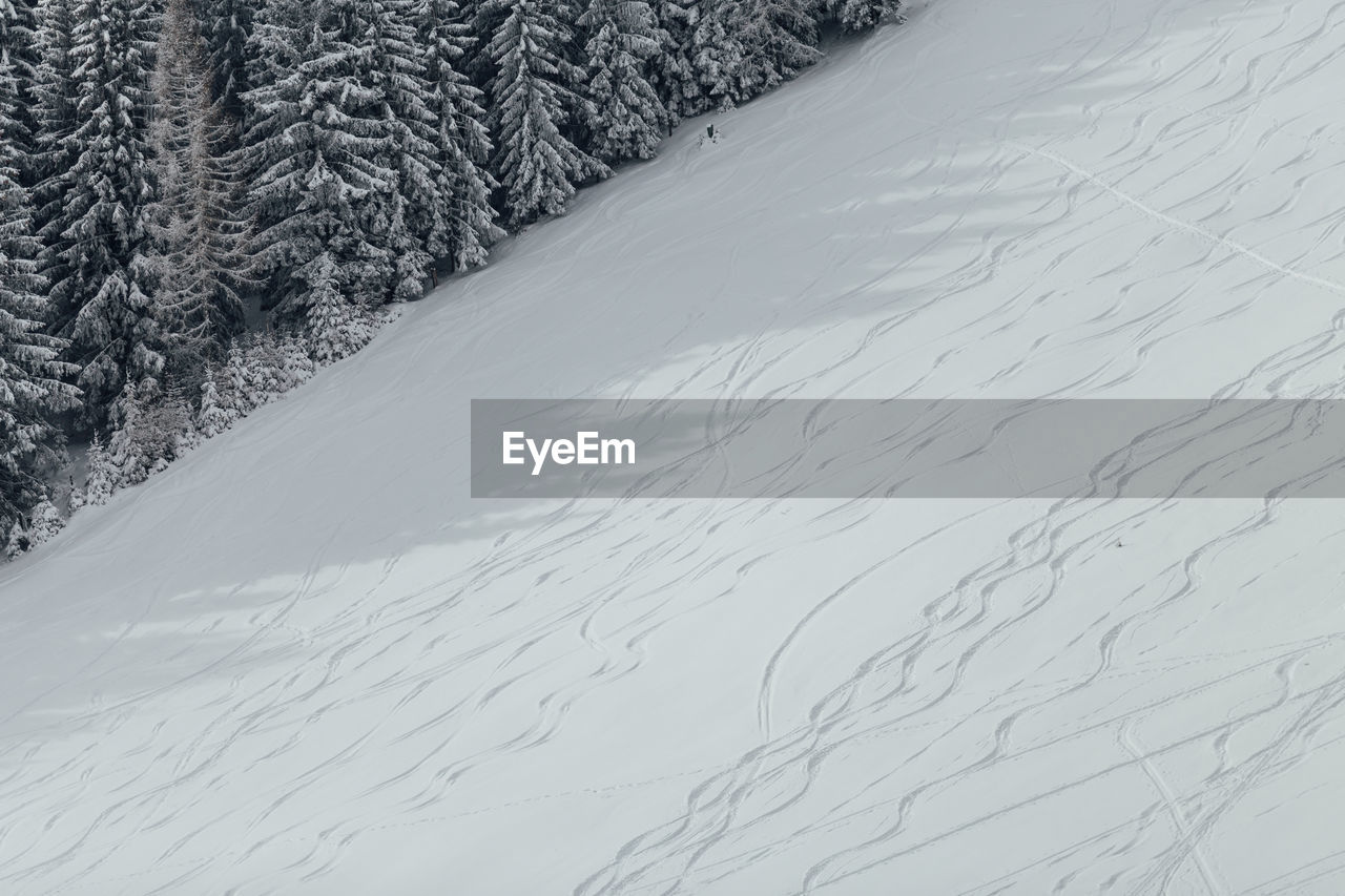 VIEW OF SNOW COVERED LAND