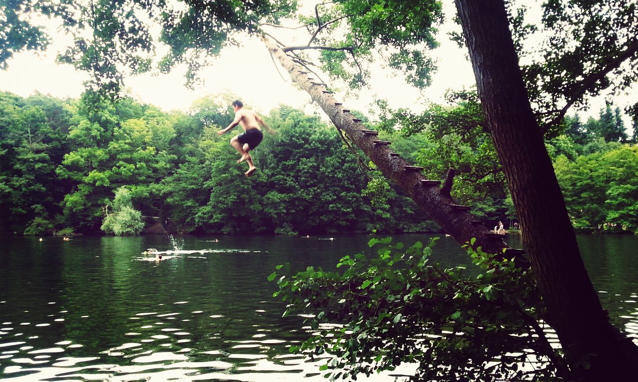 Full length of shirtless man diving in river at forest