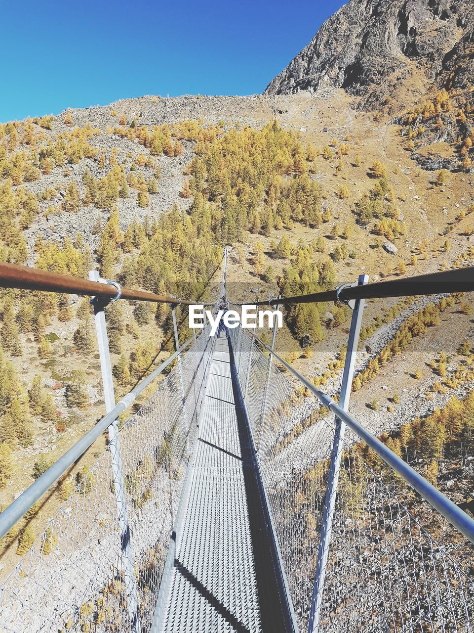 Scenic view of landscape against clear sky