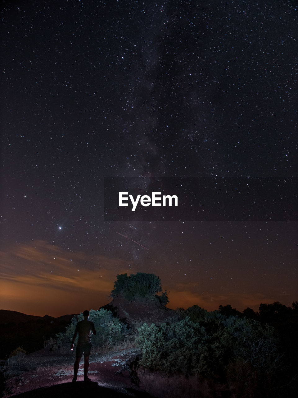 Rear view of man standing against sky at night