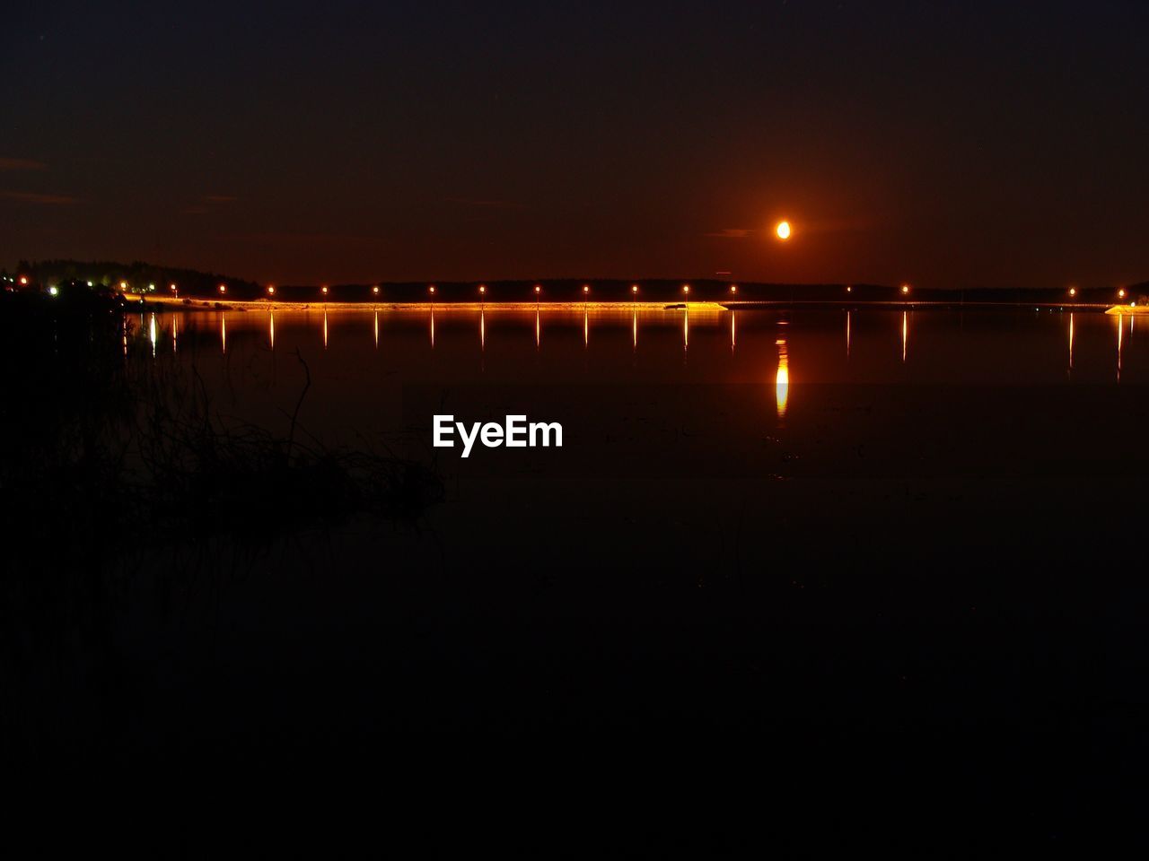 REFLECTION OF TREES IN WATER AT NIGHT