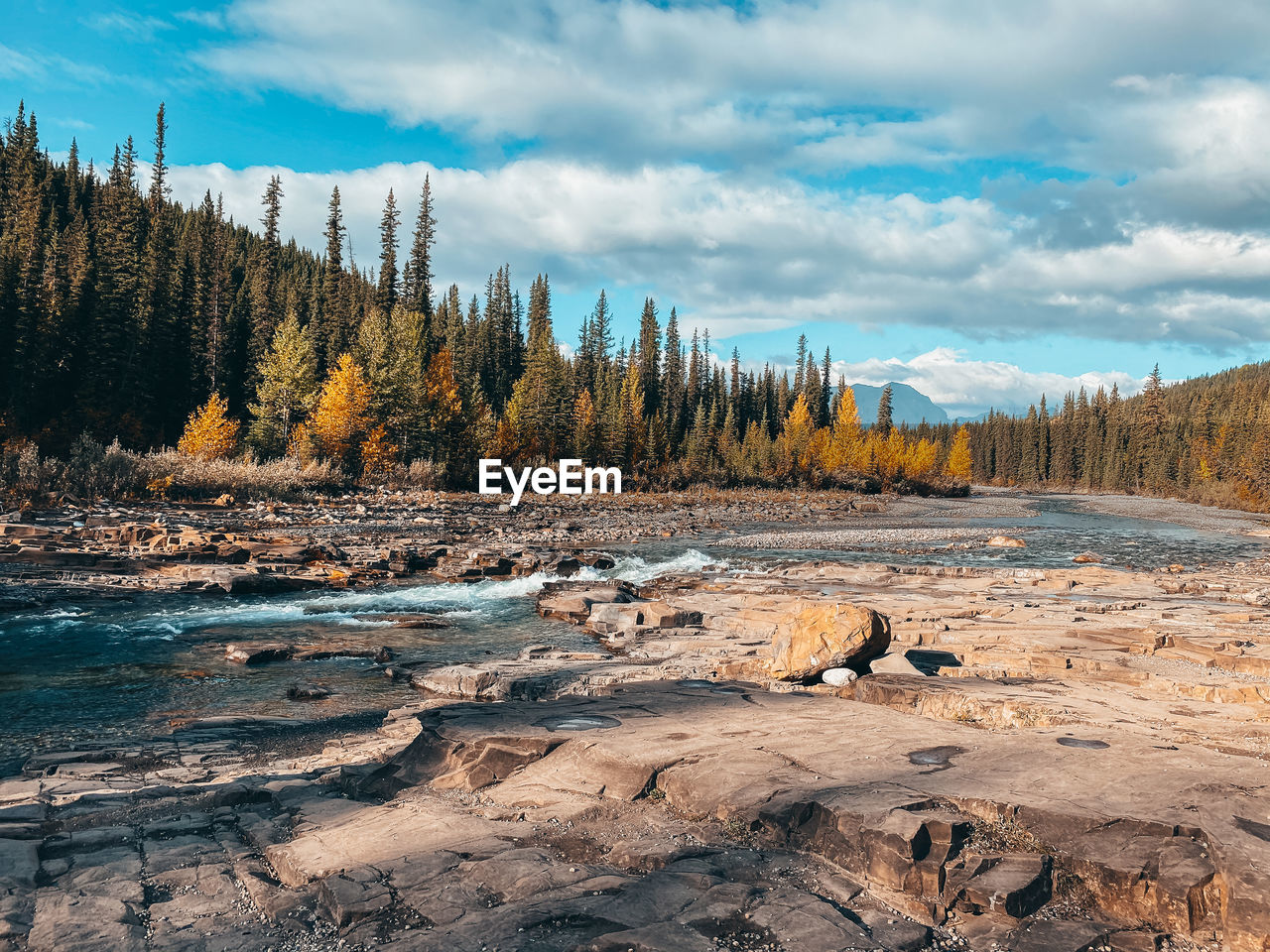 Scenic view of rocks in river against forest and sky