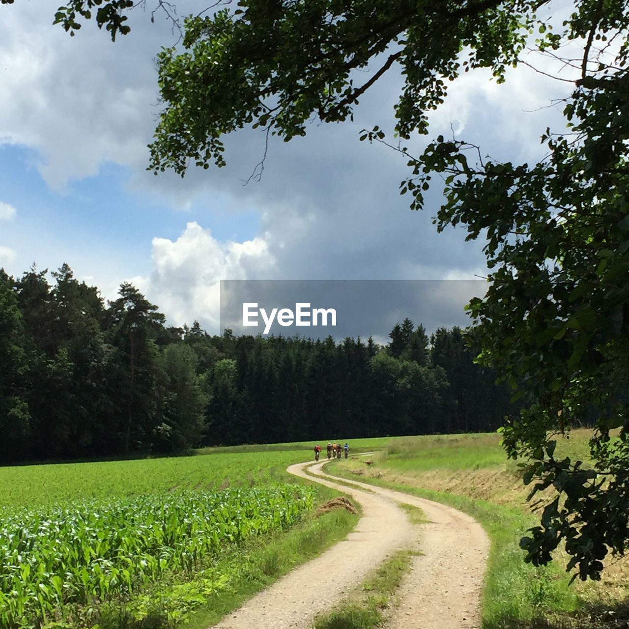 ROAD PASSING THROUGH FIELD