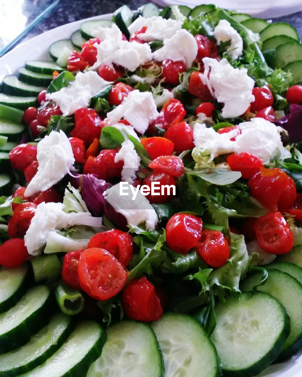 CLOSE-UP OF TOMATOES