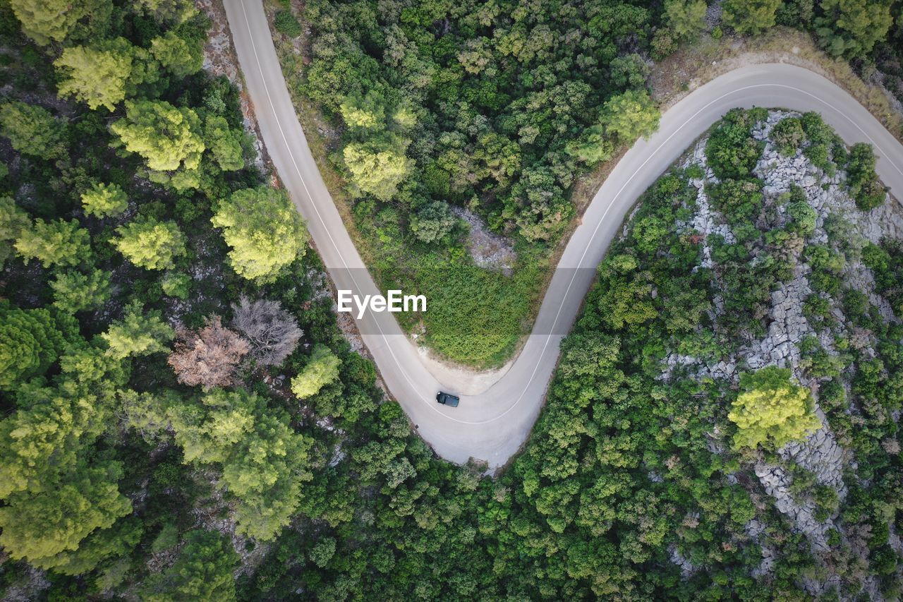 Aerial view of road amidst trees 