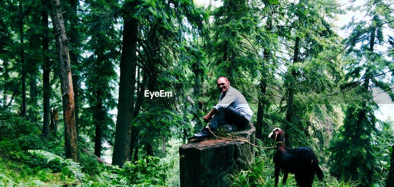 Man with goat amidst trees in forest