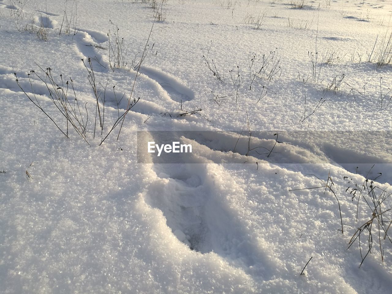 Snow on field