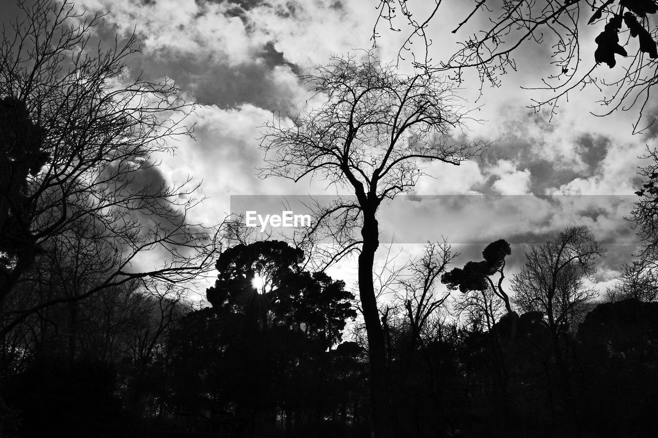 Low angle view of silhouette trees against cloudy sky