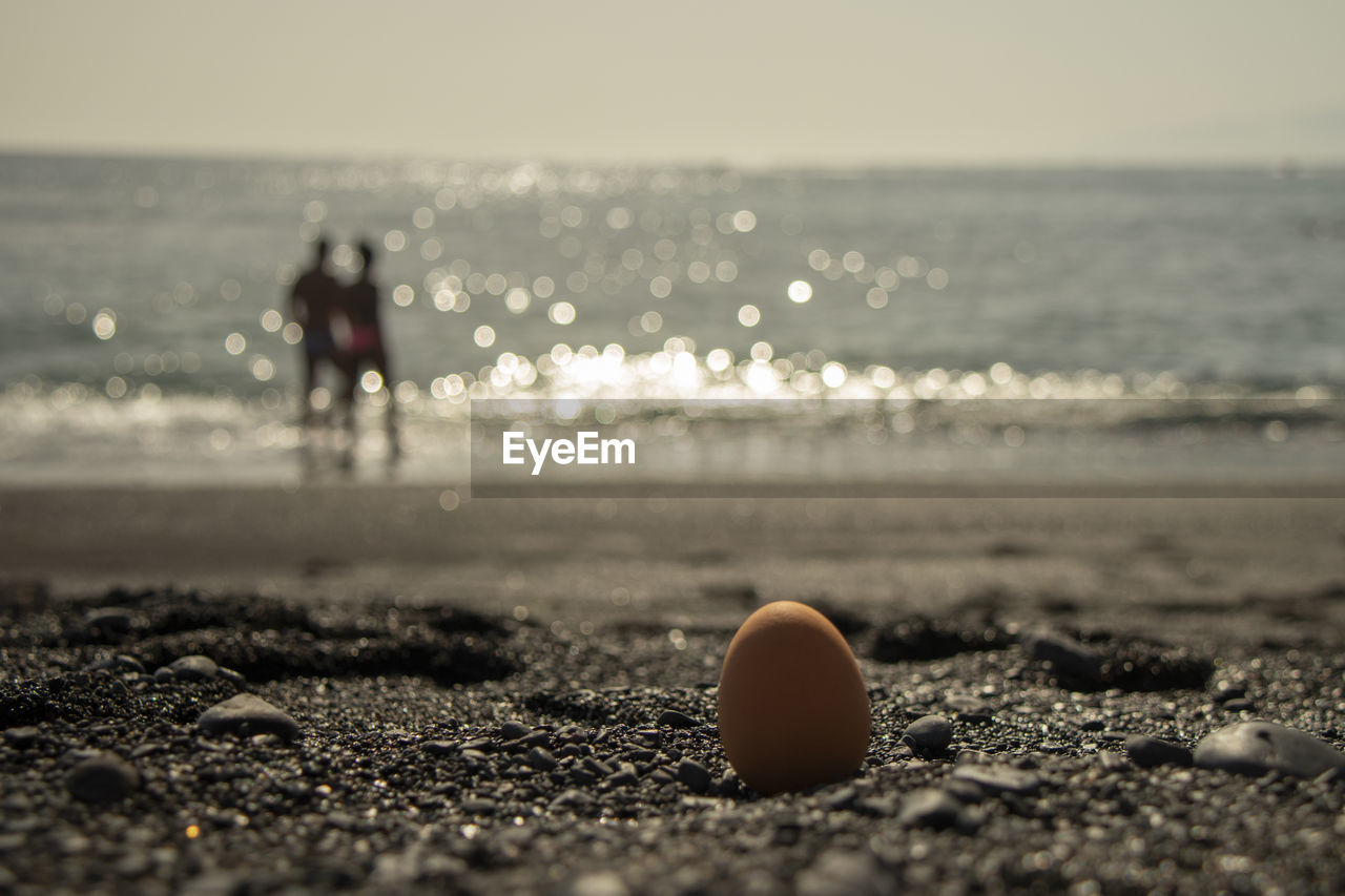 Close-up of egg, background of water on beach and silhouettes