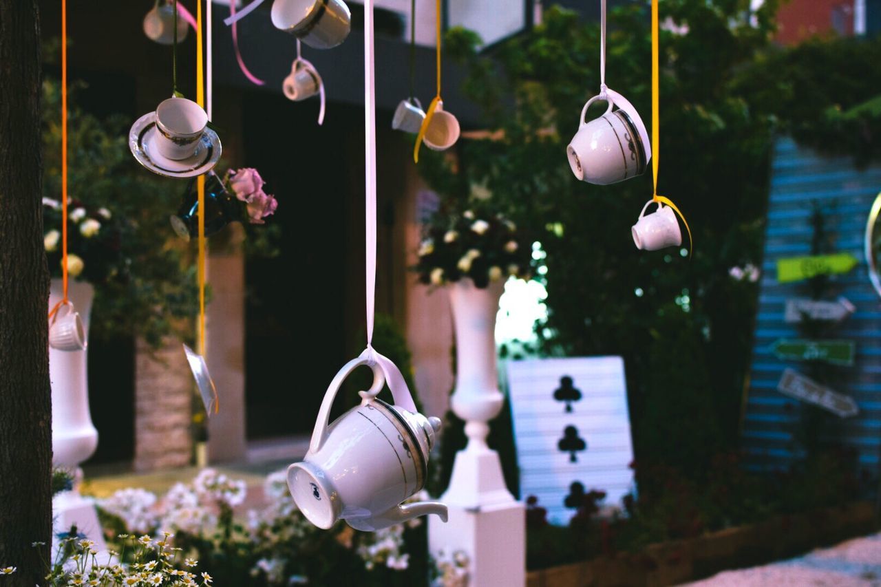 CLOSE-UP OF LANTERNS HANGING FROM TREE