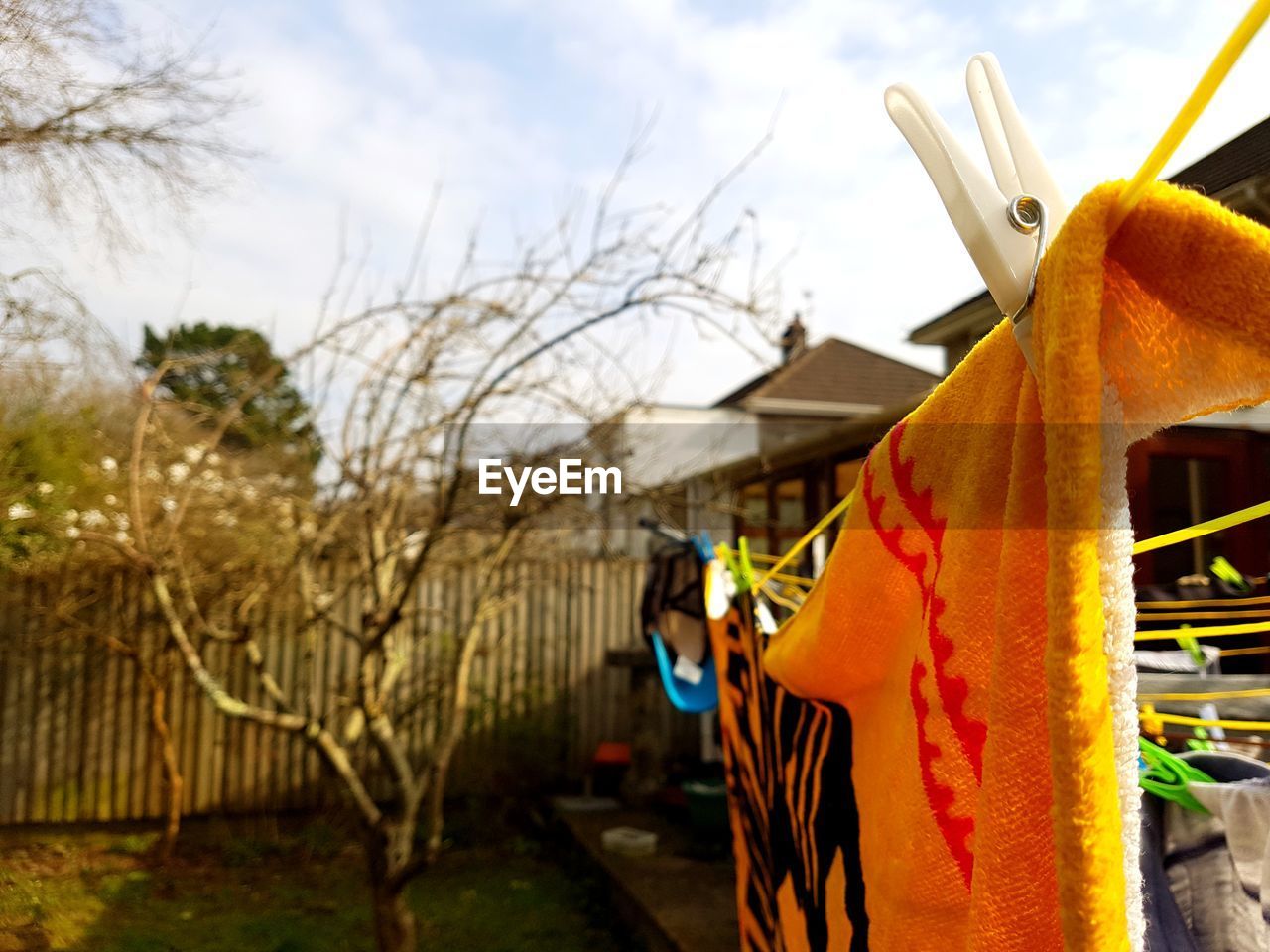 Laundry drying on clothesline in back yard