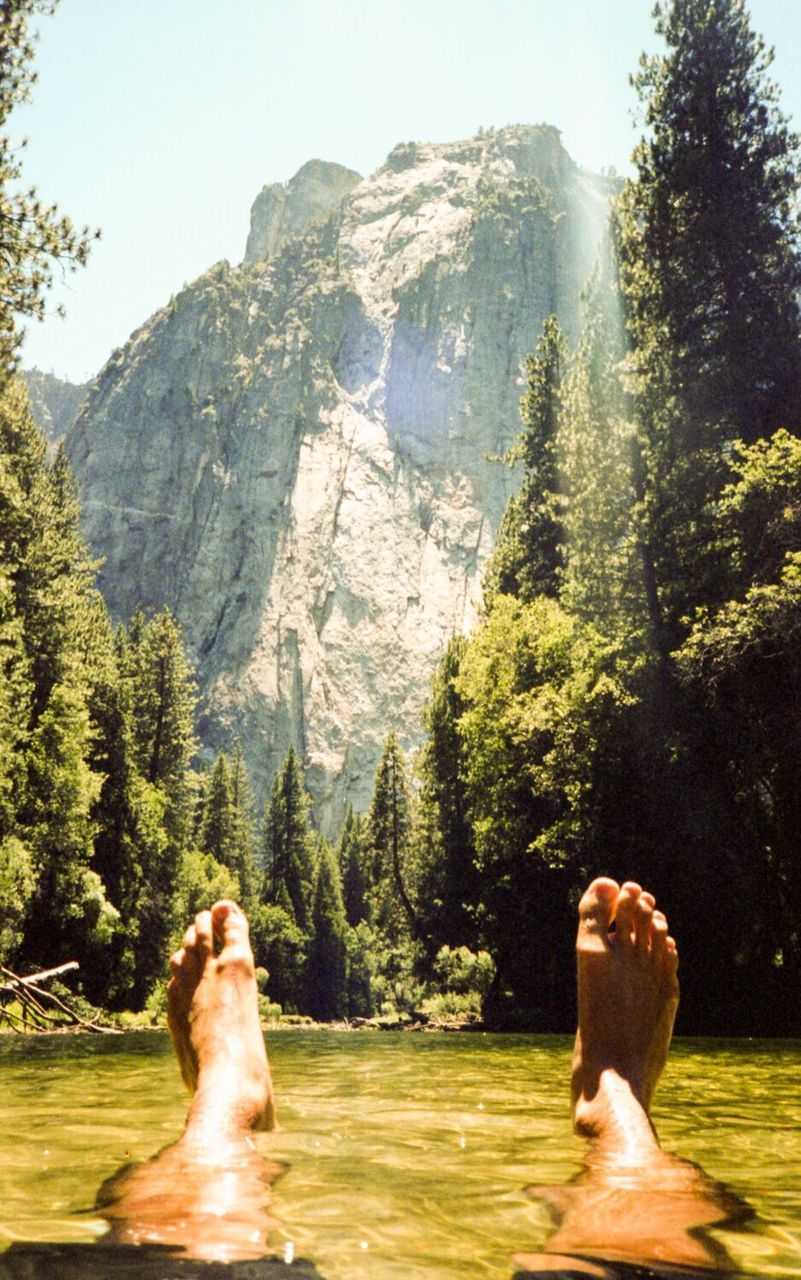 Low section of person swimming in river at yosemite national park