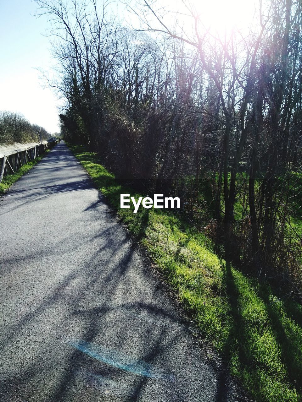 VIEW OF ROAD AMIDST TREES