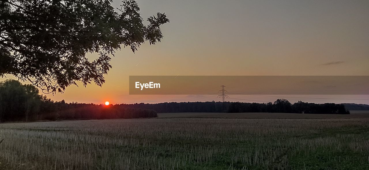 SCENIC VIEW OF AGRICULTURAL FIELD AGAINST SKY AT SUNSET