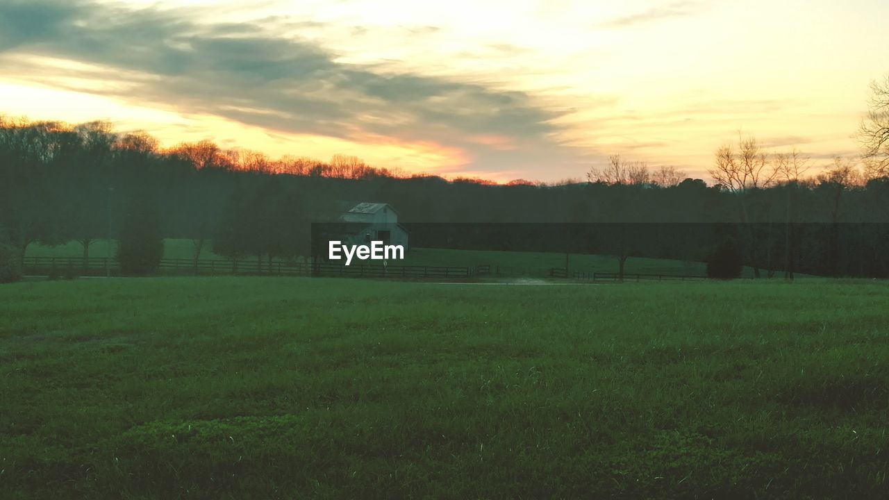 SCENIC VIEW OF GRASSY FIELD AT SUNSET