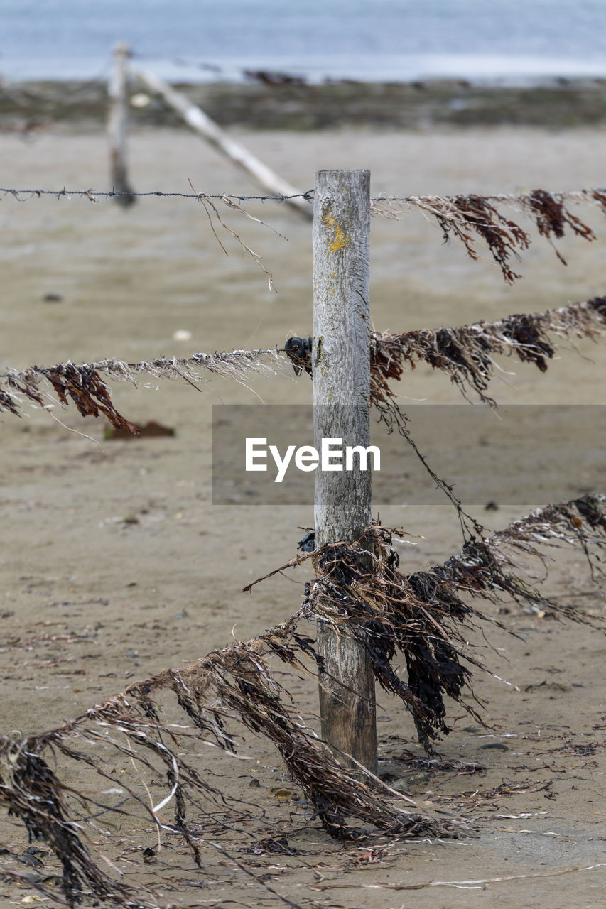 CLOSE-UP OF WOODEN POSTS ON BEACH