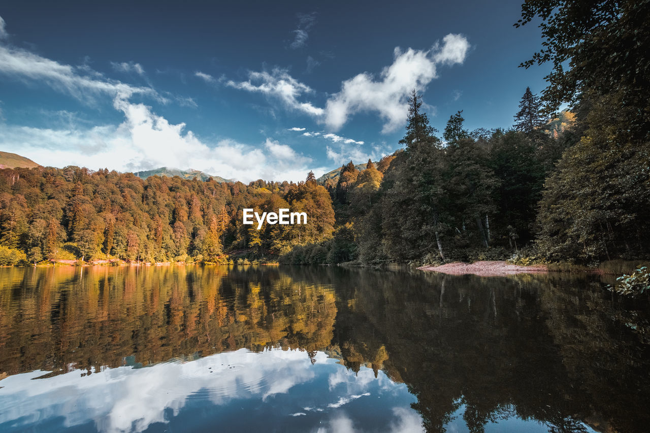 TREES BY LAKE AGAINST SKY DURING AUTUMN