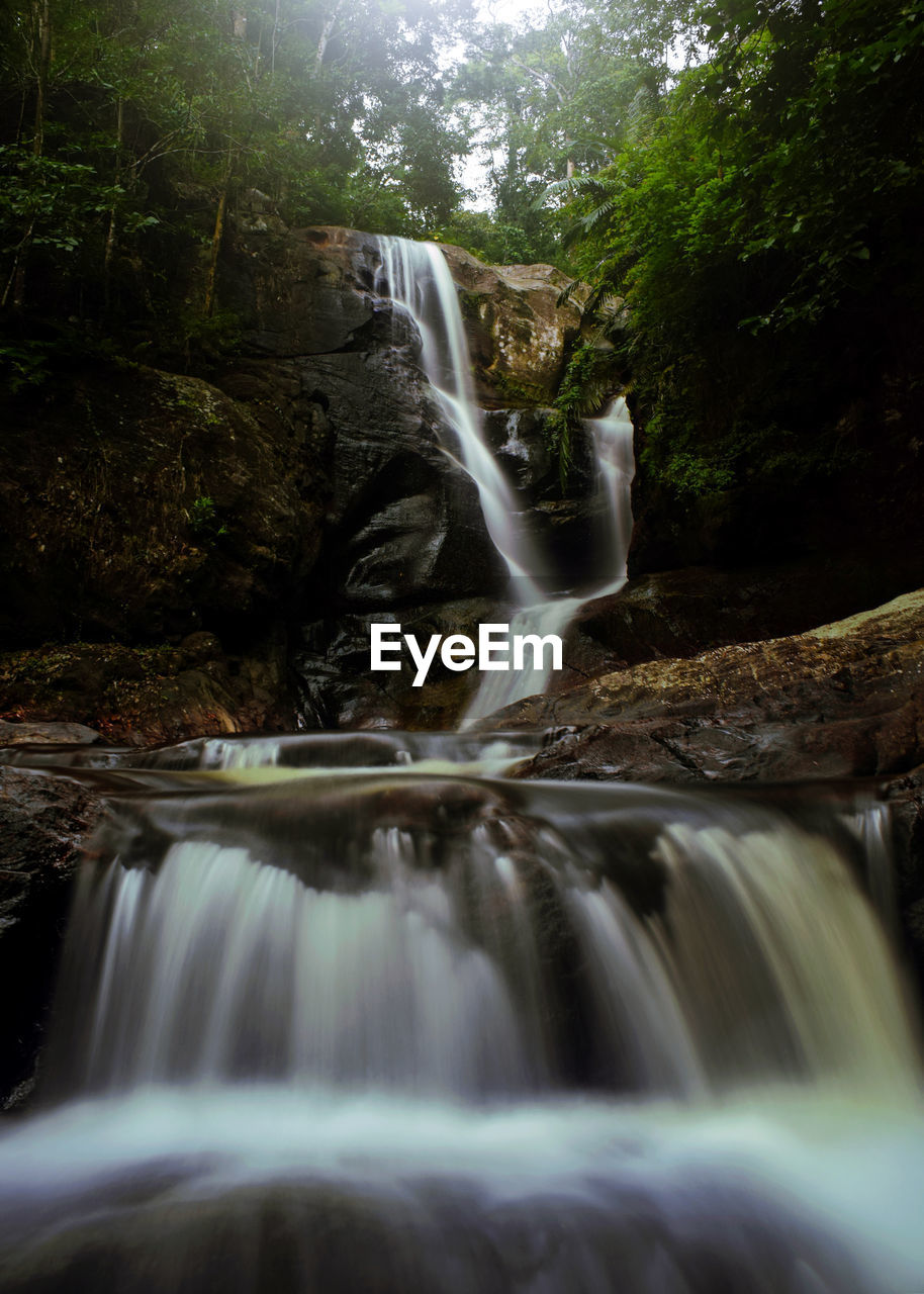 Waterfall in forest