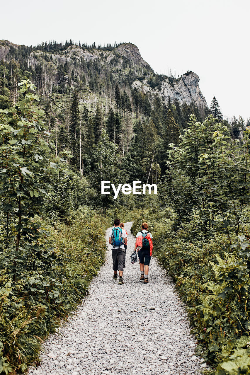 Family with backpacks hiking in a mountains actively spending summer vacation together