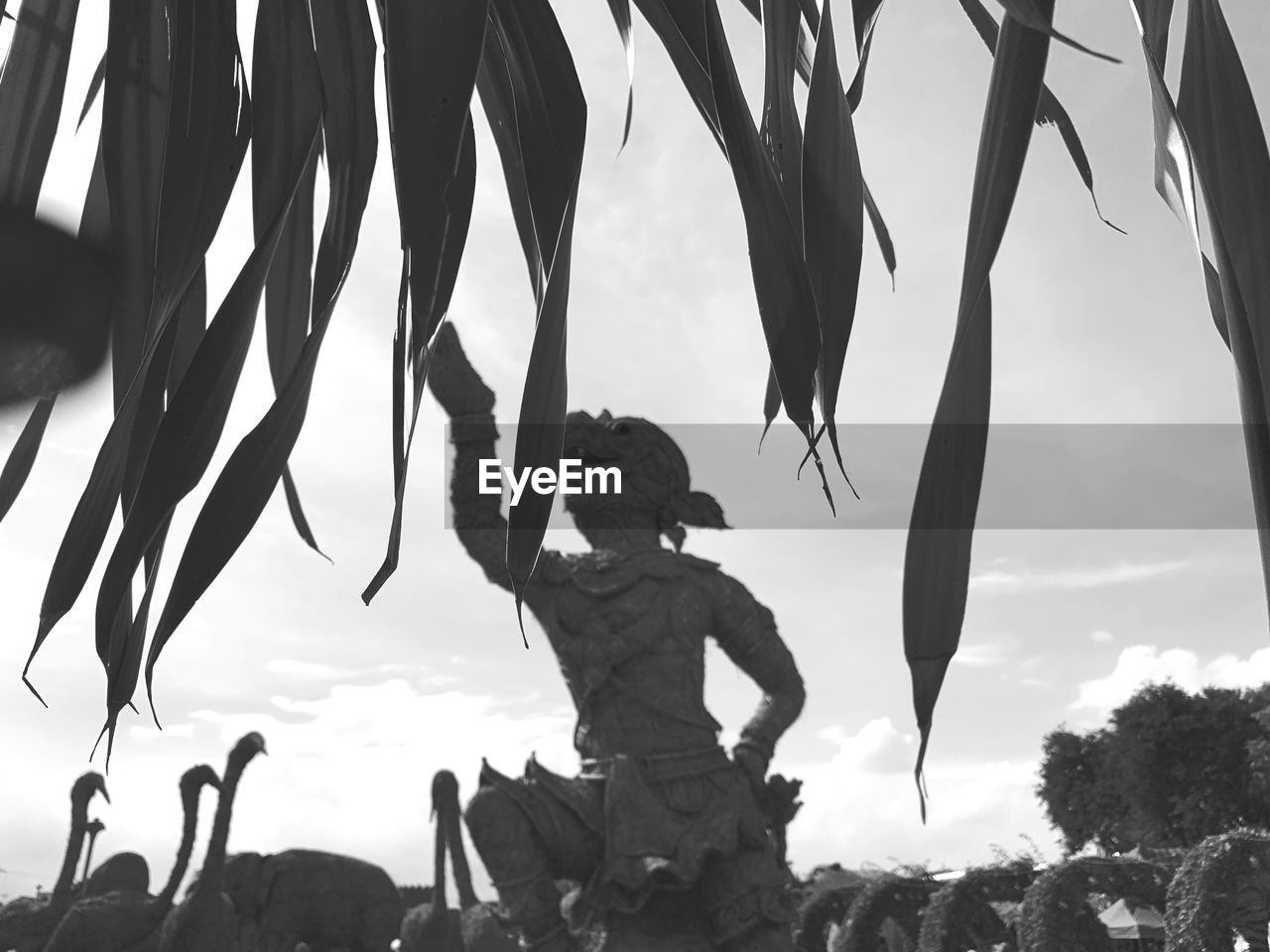 LOW ANGLE VIEW OF SILHOUETTE PEOPLE AGAINST TREES