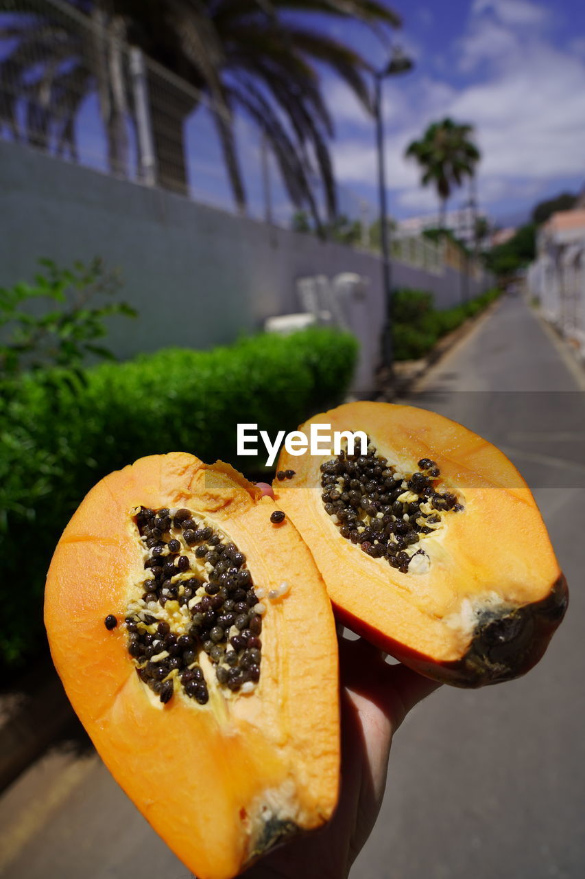 CLOSE-UP OF HAND HOLDING APPLE