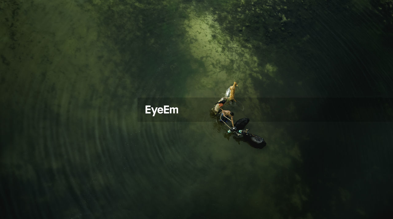 Directly above of man and woman with cows in lake