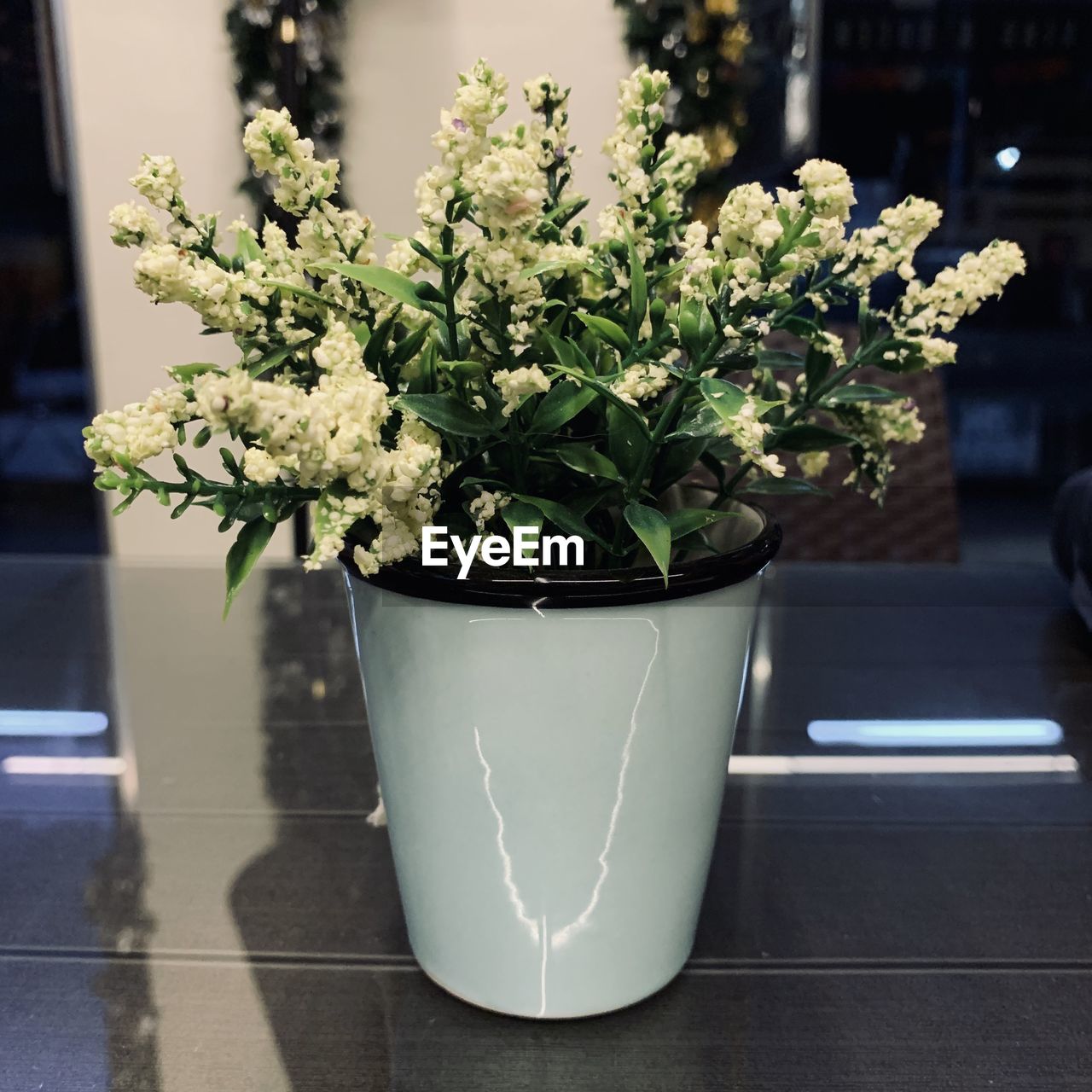 Close-up of white potted flower vase on table