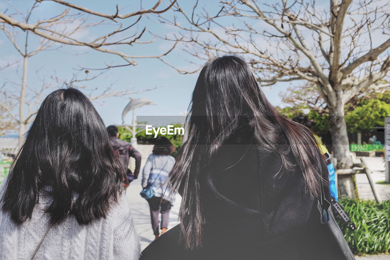 Rear view of women on sunny day