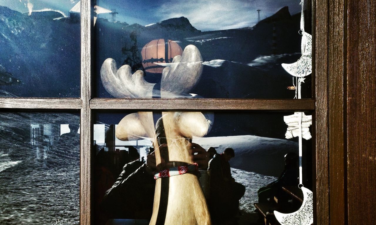 Animal statue of in house seen through window