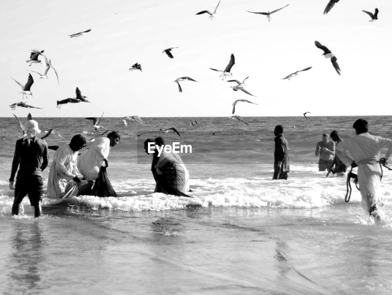 Birds flying over men at beach against sky