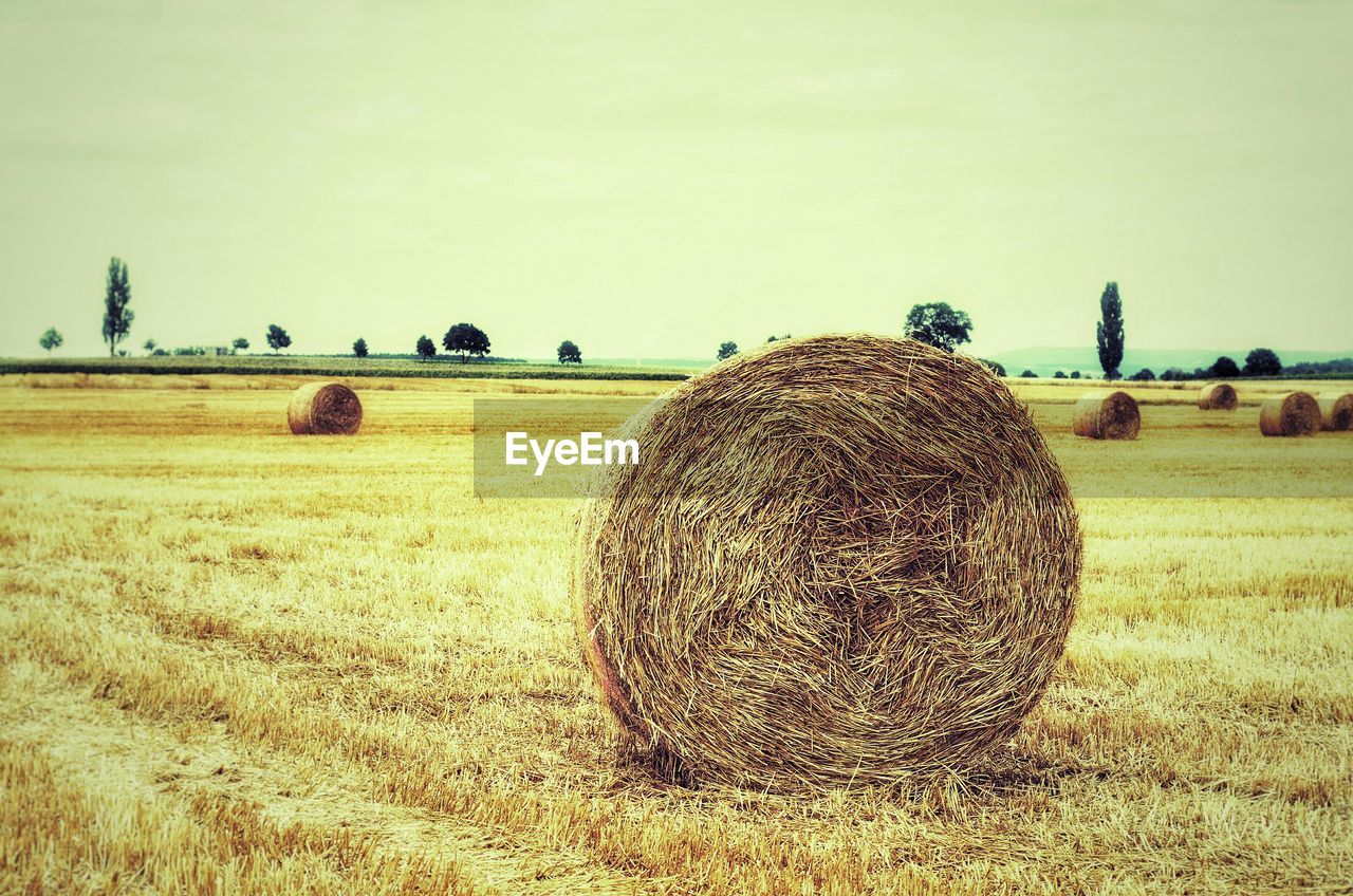 Hay bales on field against sky