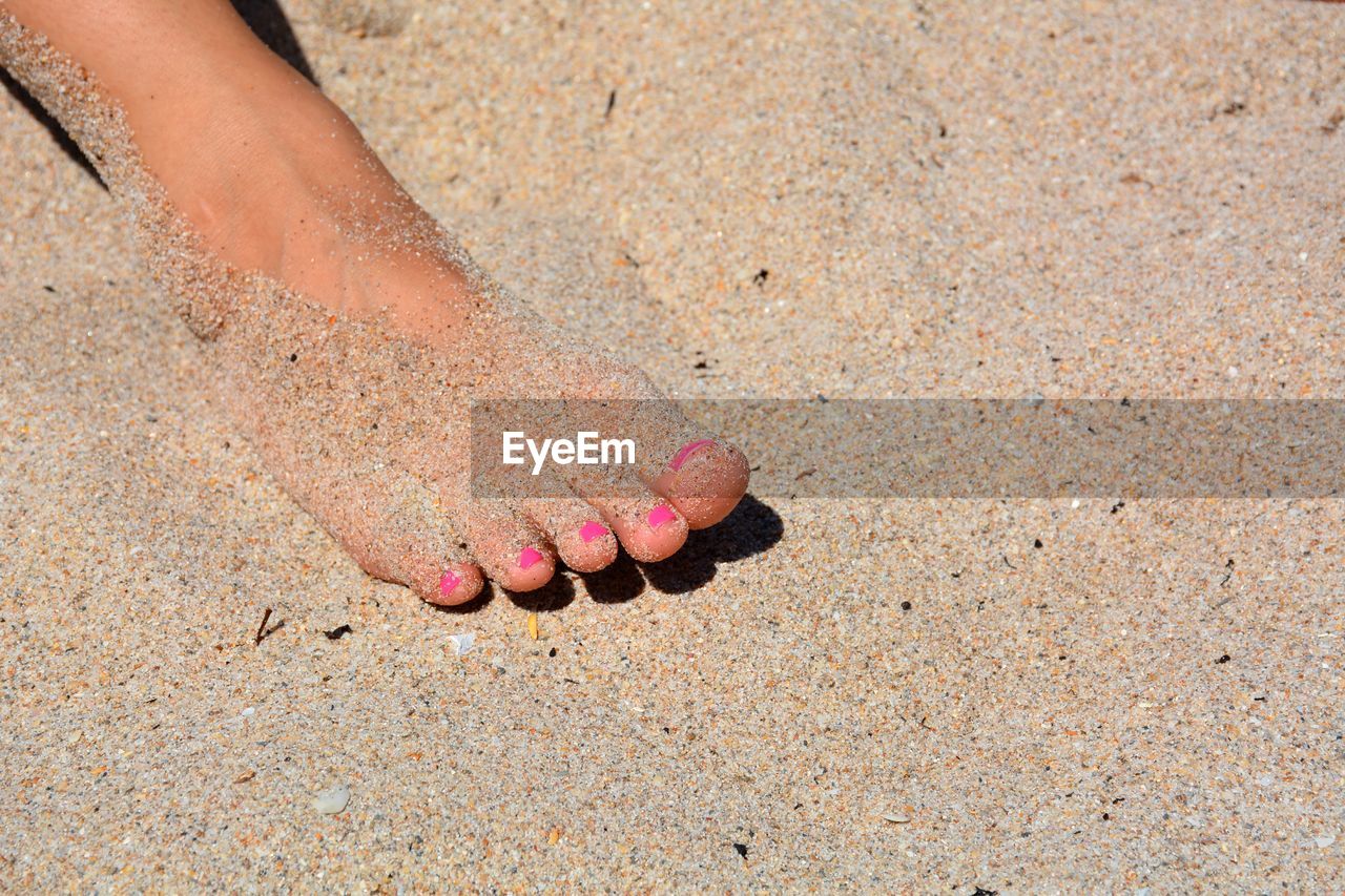 LOW SECTION OF PERSON ON SANDY BEACH